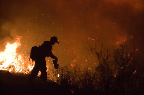 FEMA_-_33311_-_Fire_crew_memeber_fighting_Poomacha_wildfire_in_California